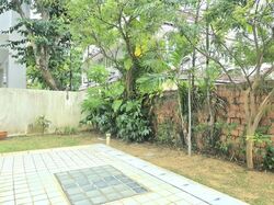 Ebony Mansions (D15), Apartment #555525321